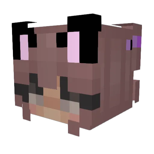 LordKingSalmon Minecraft avatar head, 3D render