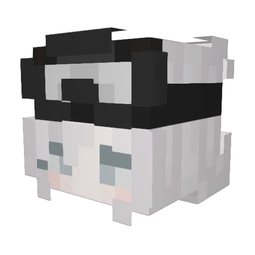 LordMasterTi Minecraft avatar head, 3D render
