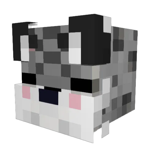 LordMaximis Minecraft avatar head, 3D render