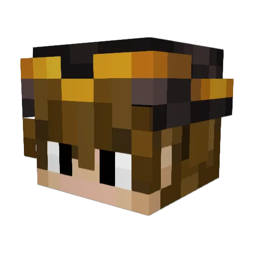 LordMicrowave83 Minecraft avatar head, 3D render