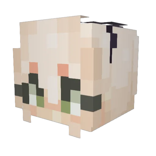LordNykon Minecraft avatar head, 3D render