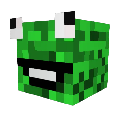 LordOfAllFrogs Minecraft avatar head, 3D render