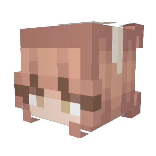 LordOfBirds_1 Minecraft avatar head, 3D render