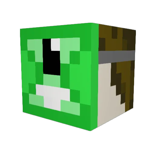 LordOfCool56 Minecraft avatar head, 3D render