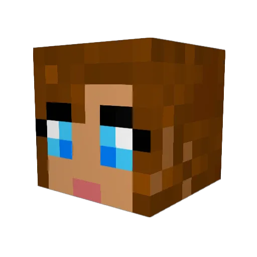 LordOfPenguins Minecraft avatar head, 3D render