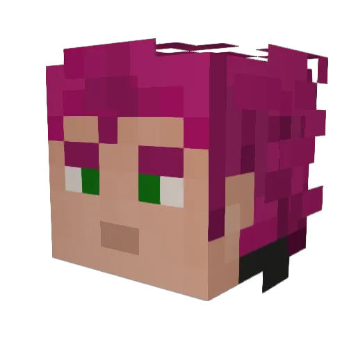 LordOfTimeLords6 Minecraft avatar head, 3D render