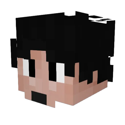 LordOscarOTVT Minecraft avatar head, 3D render