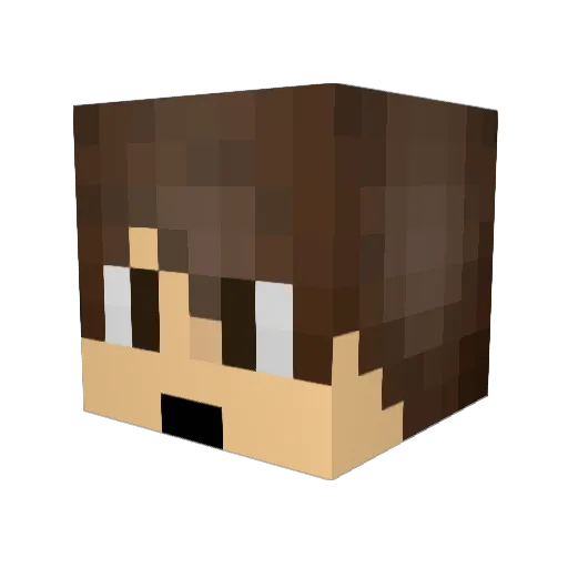 LordParrosky Minecraft avatar head, 3D render