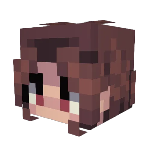 LordPassionFruit Minecraft avatar head, 3D render