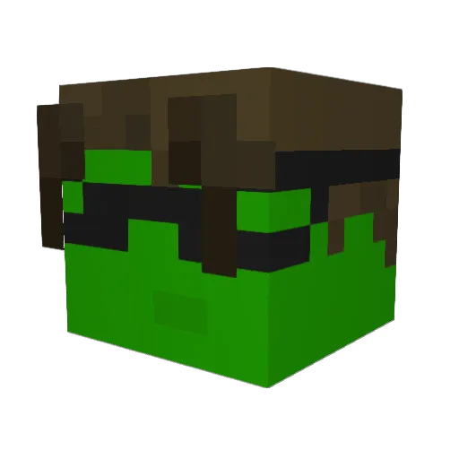 LordPenatgon Minecraft avatar head, 3D render