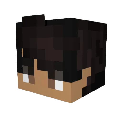LordPingu Minecraft avatar head, 3D render