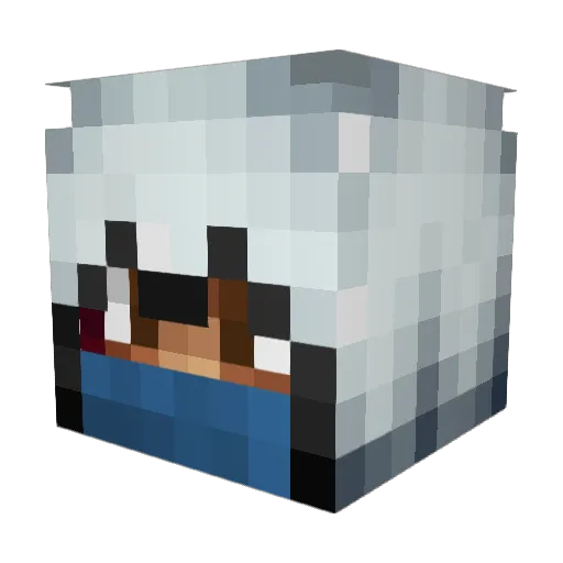 LordPringles Minecraft avatar head, 3D render