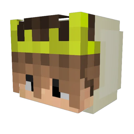 LordRuffy Minecraft avatar head, 3D render