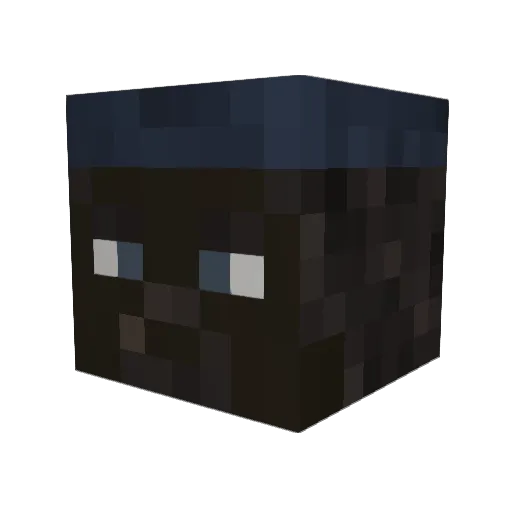 LordSalann Minecraft avatar head, 3D render
