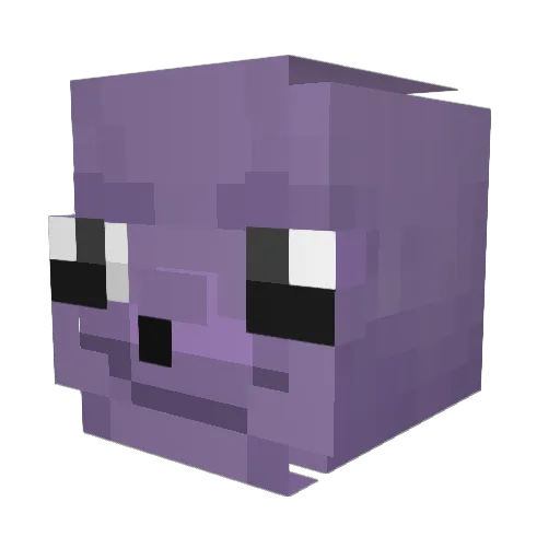 LordSan2604 Minecraft avatar head, 3D render