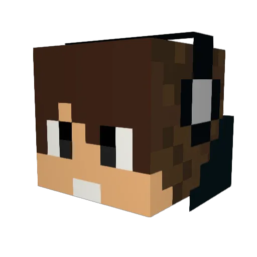 LordSelec Minecraft avatar head, 3D render