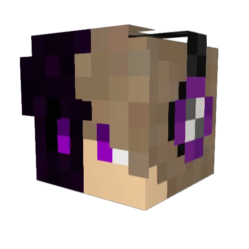 LordShadows666 Minecraft avatar head, 3D render