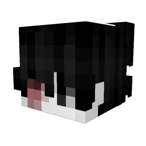 LordShrish_ Minecraft avatar head, 3D render