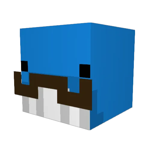 LordSkyWhale Minecraft avatar head, 3D render