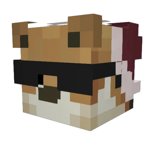 LordTiggi Minecraft avatar head, 3D render