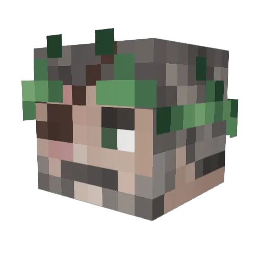 LordTimXV Minecraft avatar head, 3D render