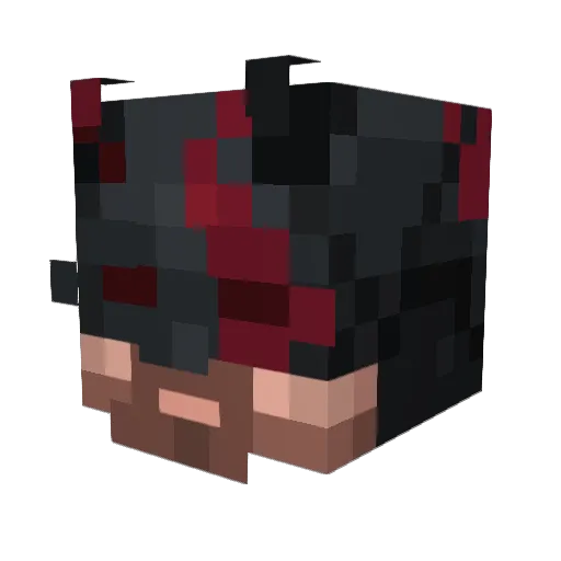 LordVader9 Minecraft avatar head, 3D render