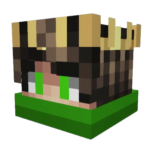 LordVipor Minecraft avatar head, 3D render