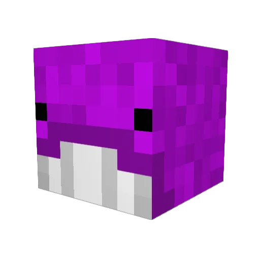 LordVypex Minecraft avatar head, 3D render