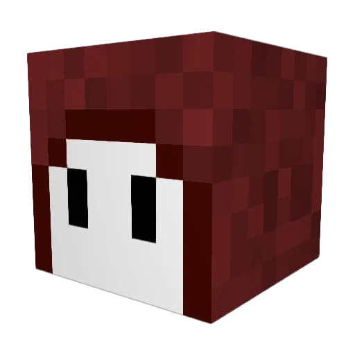 LordWatch Minecraft avatar head, 3D render