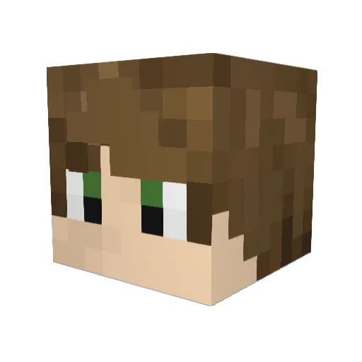 LordWithASword Minecraft avatar head, 3D render