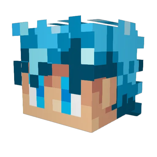 LordZerf Minecraft avatar head, 3D render