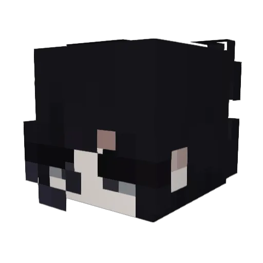 Lord_0f_Fantasy Minecraft avatar head, 3D render