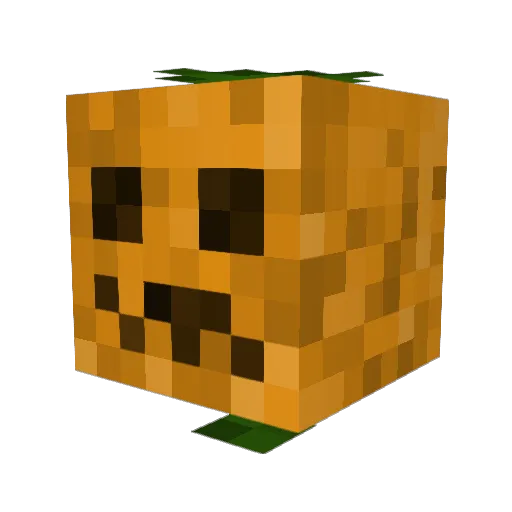 Lord_Amxy Minecraft avatar head, 3D render