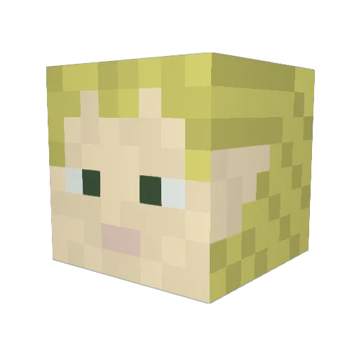 Lord_Bubbles Minecraft avatar head, 3D render