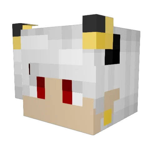 Lord_Dagra Minecraft avatar head, 3D render