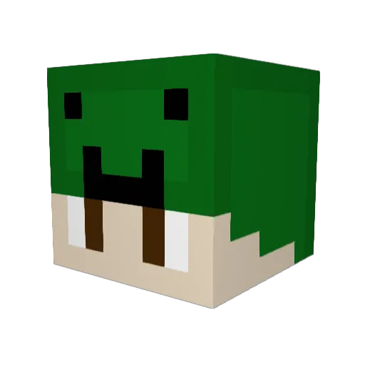 Lord_Dark55 Minecraft avatar head, 3D render