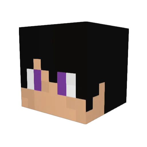 Lord_Emo_Vader Minecraft avatar head, 3D render