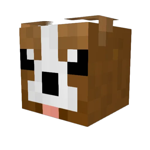 Lord_Eviaa Minecraft avatar head, 3D render