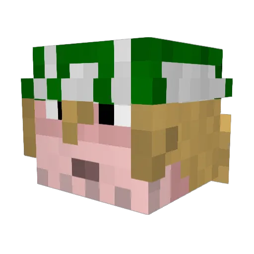 Lord_Ferae Minecraft avatar head, 3D render