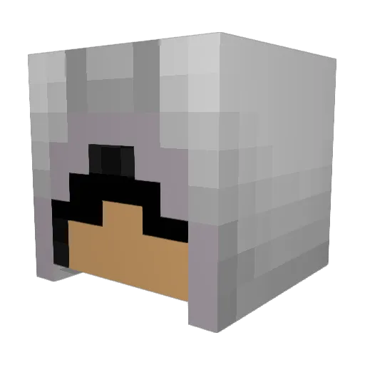 Lord_Fischer Minecraft avatar head, 3D render