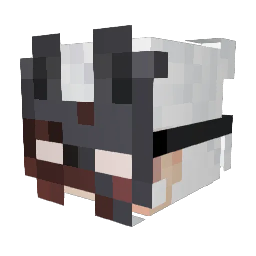 Lord_Haven06 Minecraft avatar head, 3D render