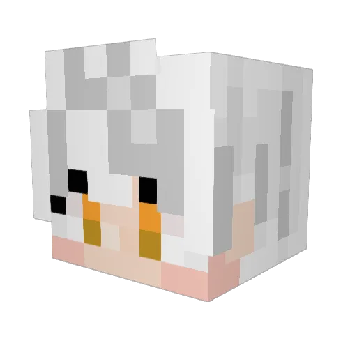 Lord_IRWD Minecraft avatar head, 3D render
