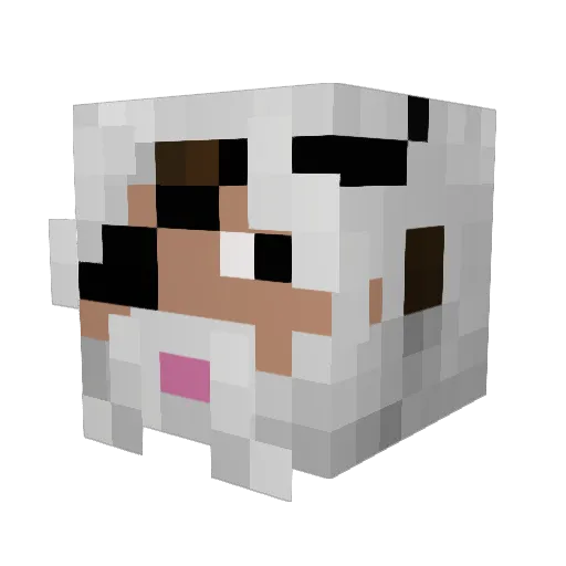 Lord_O_Canada Minecraft avatar head, 3D render