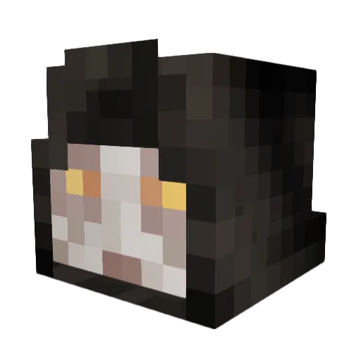 Lord_Sidious1995 Minecraft avatar head, 3D render