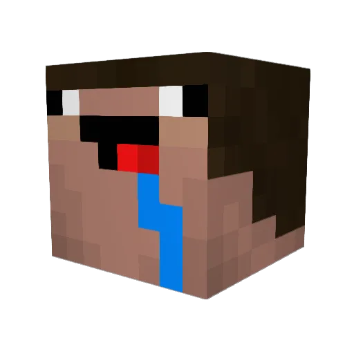 Lord_Skyness1 Minecraft avatar head, 3D render