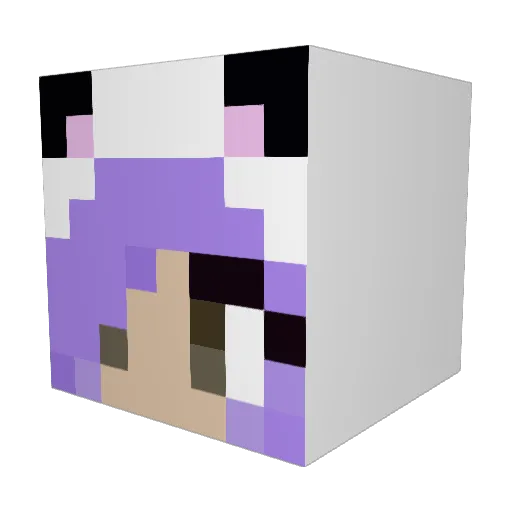 Lord_Stein121 Minecraft avatar head, 3D render
