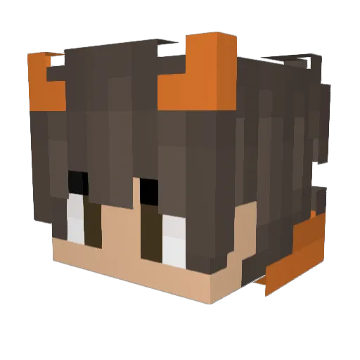 Lord_Turkey Minecraft avatar head, 3D render