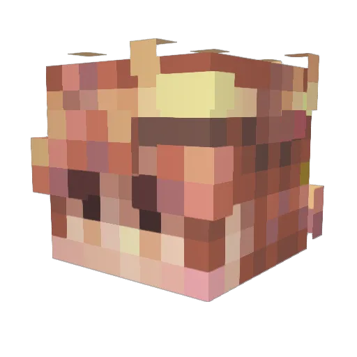 Lord_Walfisch Minecraft avatar head, 3D render