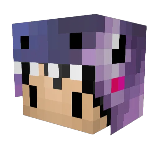 Lord_WubCatz Minecraft avatar head, 3D render