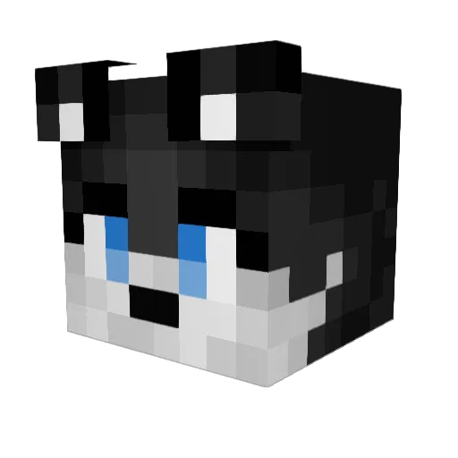 Lord_Ziomek Minecraft avatar head, 3D render